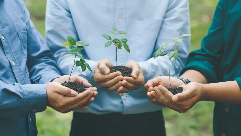 ISO 14001 Certification in Saudi Arabia for Sustainability